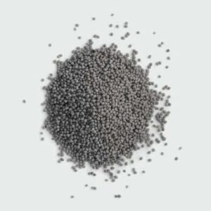 Mustard Seeds 300x300
