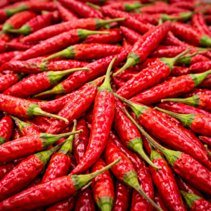 Vibrant Sannam Chilies In Focus 300x300