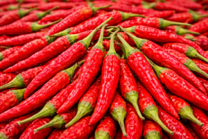 Vibrant Sannam Chillies In Close Up 300x200