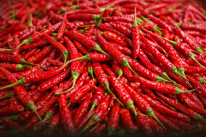Vibrant Teja Chilies In Focus 300x200