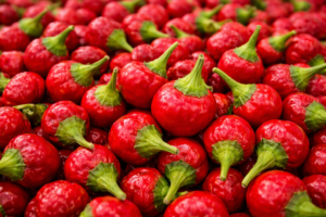 Vibrant Heap Of Fresh Chapata Chillies 300x200