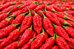 Vibrant Red Ghost Peppers Close Up 300x200
