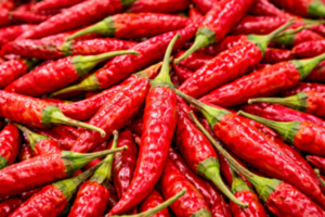 Chilli 1536x1024 300x200
