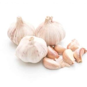 Fresh Garlic 300x300