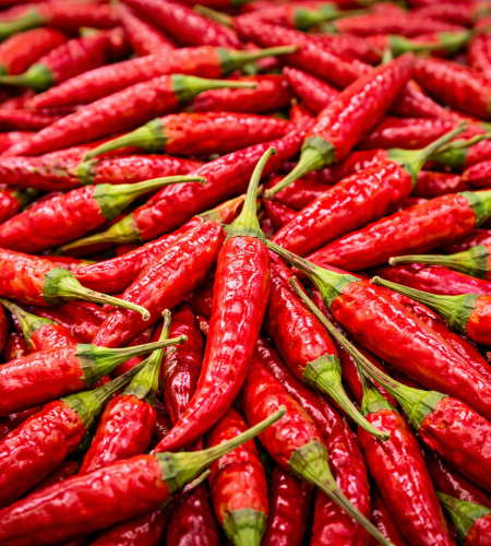 vibrant sannam chilies in focus