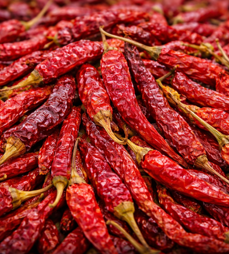 vibrant pile of dried byadgi chilies